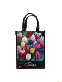 Giftbag Triumph tulp