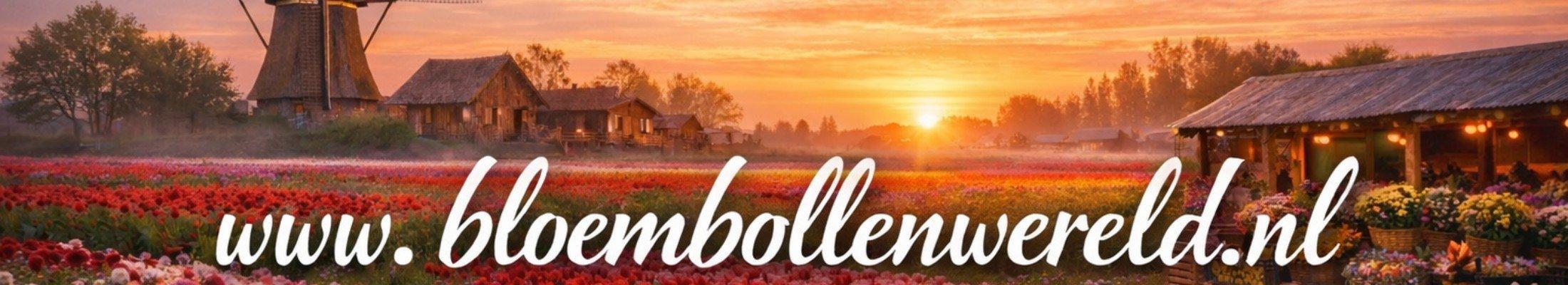 De specialist in bloembollen