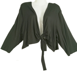 DORISSTREICH Mooie stretch bolero 52