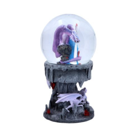 Dragon Mage Snowglobe Shaker