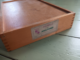 Doos met anatomie stempels, jaren 70