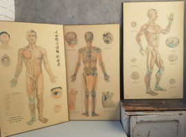3 Oude Instructiewandkaarten  Acupunctuur