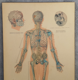 3 Oude Instructiewandkaarten  Acupunctuur
