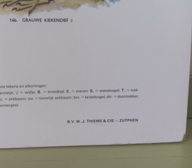 Dagroofvogels en Uilen     -  IJsseling / Slijper