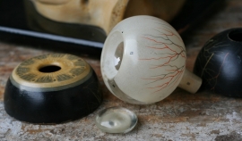 Medisch - anatomisch model van een oog.