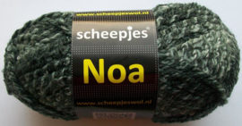 Noa, kleurnr. 09, 100 gram