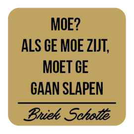 P022 | Briek Schotte - Moe