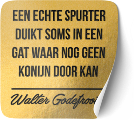 P005 | Walter Godefroot - Spurter