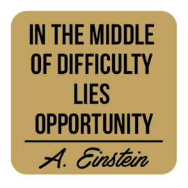 P027 | Albert Einstein - Opportunity
