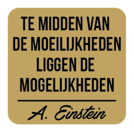 P026 | Albert Einstein - Mogelijkheden