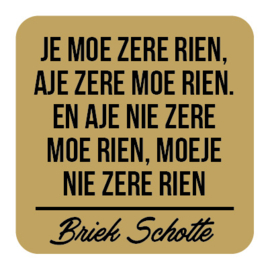 P031 | Briek Schotte - Zere rien