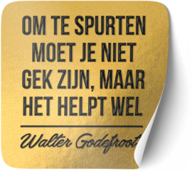 P010 | Walter Godefroot - Spurten