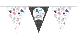 baby shower gender reveal