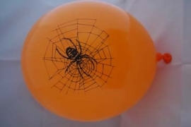 ballon bedrukt met een  spin   10 stuks