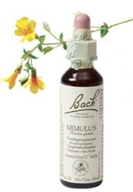 Mimulus