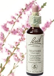 Heather