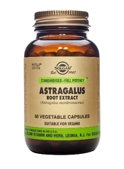 Astragalus Root Extract 60 caps