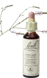 Vervain