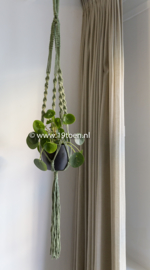 Plantenhanger macramé grijs en groen