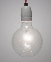 Globelamp 95mm 100w helder