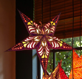 Kerstster Ramadasa violet 60cm