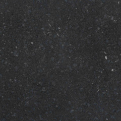 NIEUW: Vloertegel Olivian Black 400x400x15 mm  glanzend gepolijst Prijs per m2