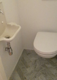 Vloertegel en wandtegel marmer Bianco Carrara Venato  wit  400x97x15 mm mat gezoet VISGRAAT Prijs per m2