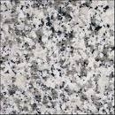 Vloertegel graniet Bianco Sardo zwart grijs spikkel 400x400x15 mm glanzend Prijs per m2