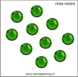 10 x  Groen - (Fern Green) SS16