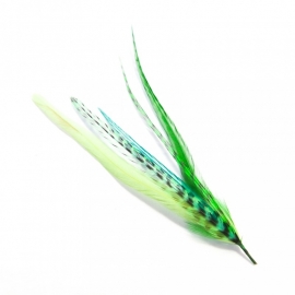 Fine Featherheads - Pet - Plumes Emerald - bundel van vijf - Kort