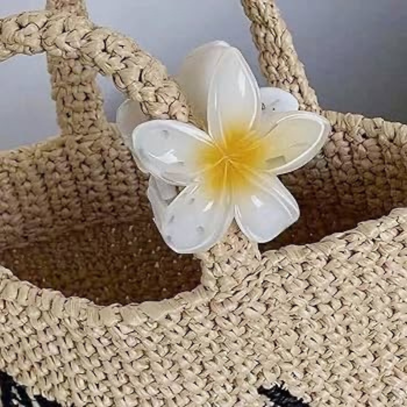 Frangipani Bloem - Haarklem – Island Plumeria - 1st