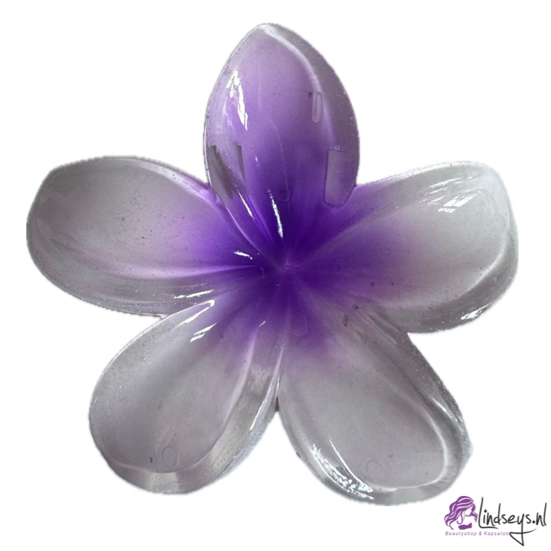 Frangipani Bloem - Haarklem – Wit met Paars Hart – 4 en 8 cm - 1 st