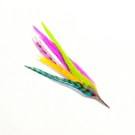Fine Featherheads - Pet Plumes - Rainbow Bright  - bundel van vijf - Kort