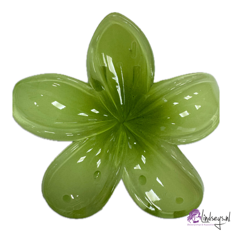 Frangipani Bloem - Haarklem – Jungle Lime - 1 st