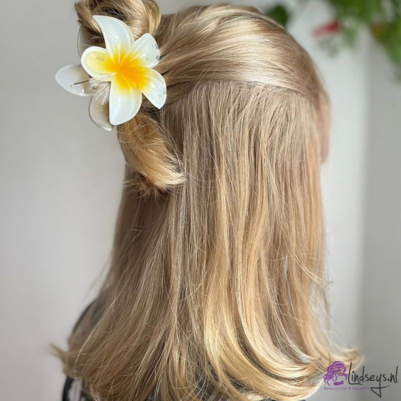 Frangipani Bloem - Haarklem – Island Plumeria - 1st