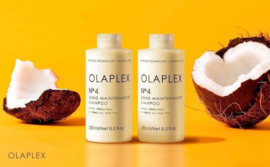 Olaplex - No.4 - Bond Maintenance Shampoo -250ml