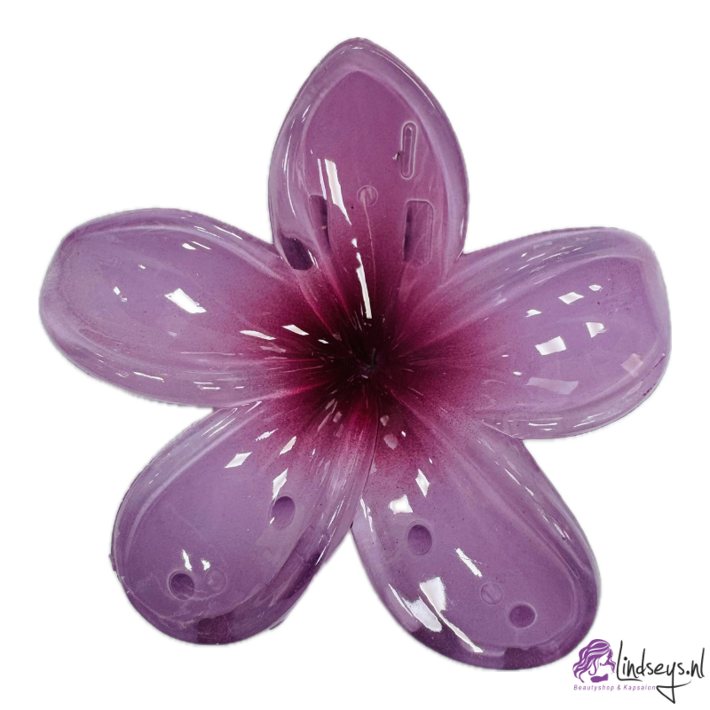 Frangipani Bloem - Haarklem – Bali Orchid - 1 st