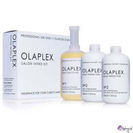 Olaplex - Herstelbehandeling - No. 01 en No 02 mogelijk bij Lindseys kapsalon