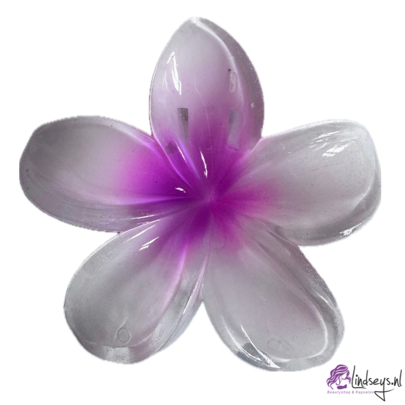 Frangipani Bloem Haarklem – Wit met Felroze Hart – 4 en 8 cm - 1 st