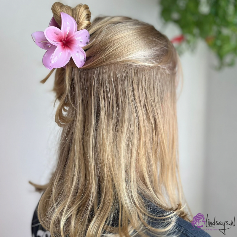Frangipani Bloem - Haarklem – Bali Orchid - 1 st