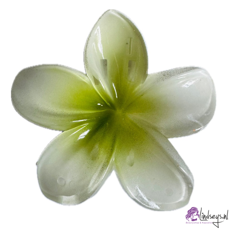 Frangipani Bloem - Haarklem – Wit met Groen Hart – 4 en 8 cm - 1 st