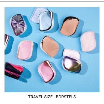 travel borstels