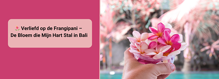 🌺 Verliefd op de Frangipani – De Bloem die Mijn Hart Stal in Bali