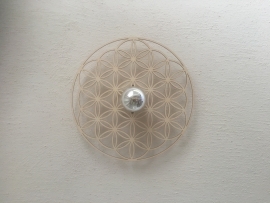 Flower of Life  shadow