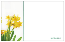 [Giftcards] Vrede van God Narcis