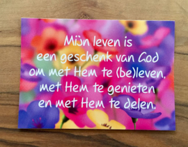 Sticker blauw/roze