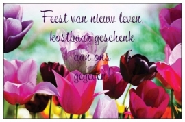 Giftcard  Feest van nieuw leven, fijn paasfeest! 25 stuks