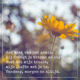 Gods liefde is met je