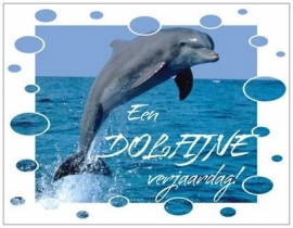 OP=OP Een dolfijne verjaardag!