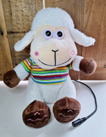 Schaap